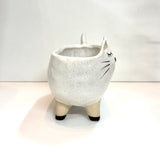 Cat Pot/Planter/Soap Dish Ceramic Indoor/Outdoor Home Garden Decor