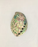 Paua (Abalone) Shell - Perfect For Burning Of Smudge Sage