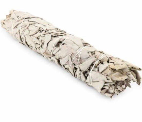 California White Sage Smudge Stick - Extra Large 25cm
